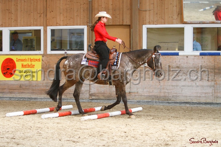 26-ApHC GT_170.jpg